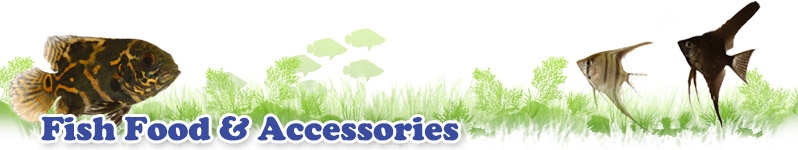 Fish Food & Accessories