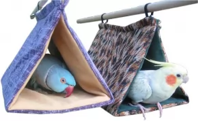 Photo for News story: Why use a bird bunk