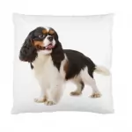 CAVALIER cushion cover Throw pillow