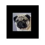 PUG PUPPY cushion cover Throw pillow