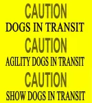 CAUTION DOGS IN TRANSIT