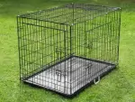 Collapsible Wire  Dog Crates : 42 inch : 4  DOOR ENTRY : Extra Large 107CM(L)