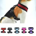 Dog Control Harness