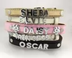 Personalized Collars Customized