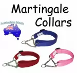 MARTINGALE COLLAR , WITH SPRENGER CHAIN AND WEBBING